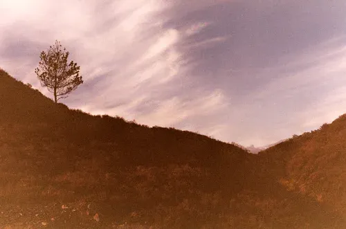 Photograph by David Morgan-Davies from his 'joining the dots..' photobook, self-published in 2025.